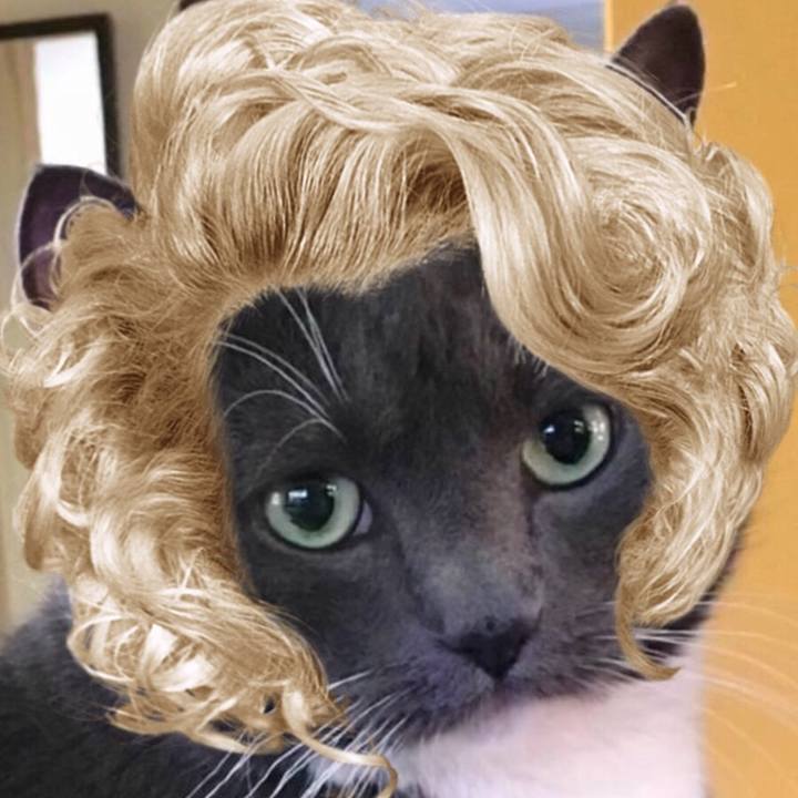 1d5bca96 4d87 4e0a 966a 9d2421b0b2a8 1522323259953