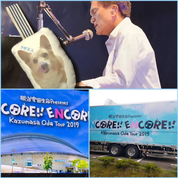 1d5be02c 3893 4f8b ae4a fc82f0ad7fdd 1562341008880