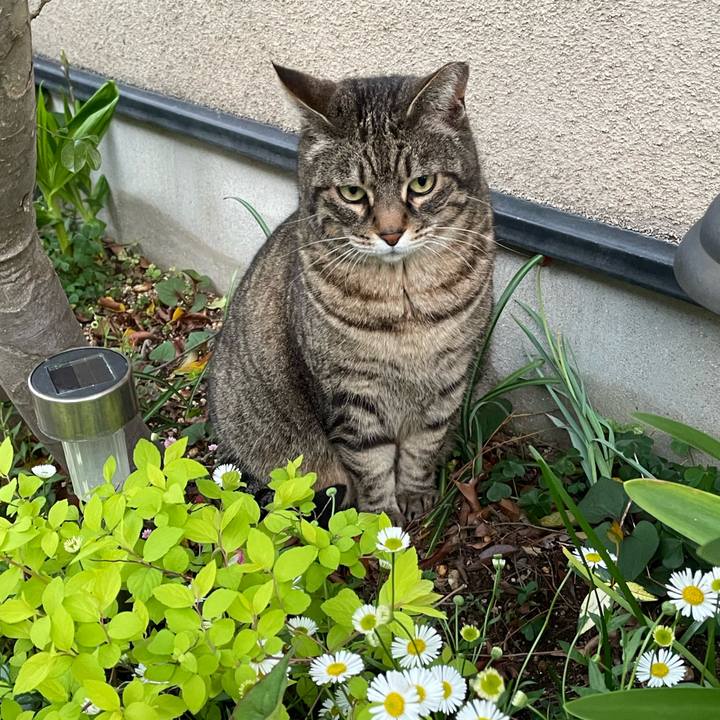 1d5bea42 37ef 47e5 b85d f47e7728b68a 1686819537887