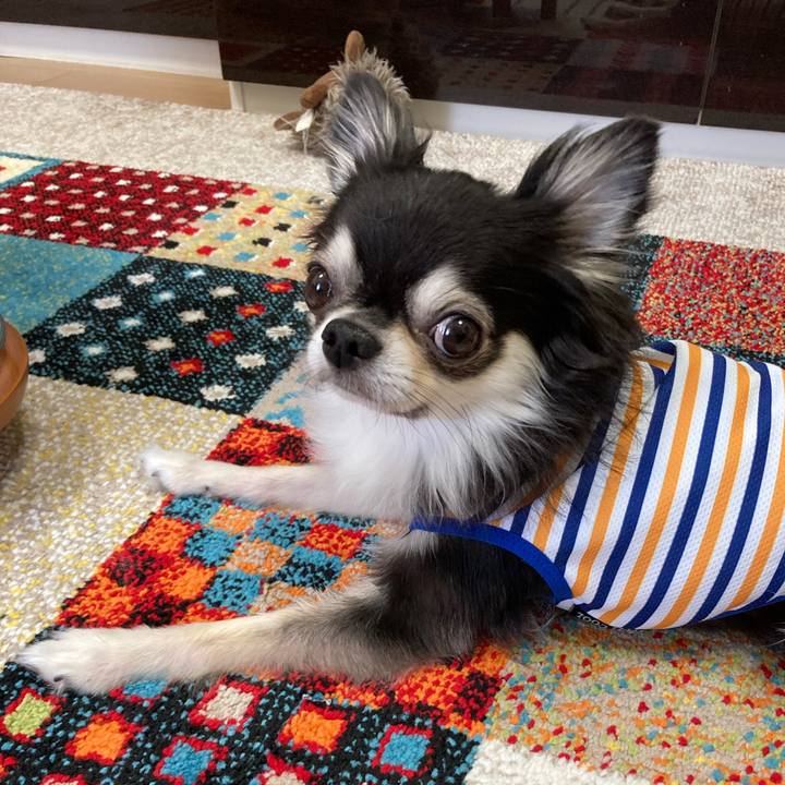 1d5bf166 b5c8 43d3 a93b 94136e3dd0c1 1696085381010