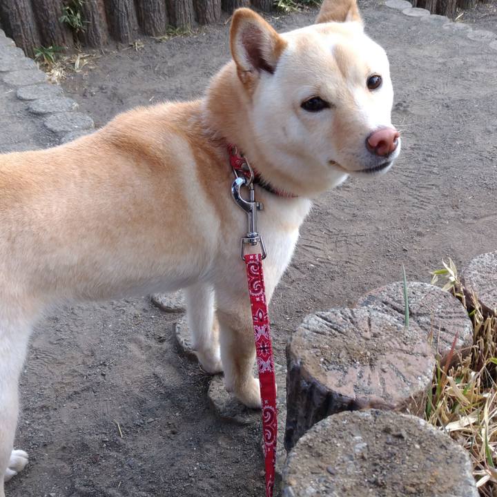 1d5bfb3a cb7a 44af acdb 6519a2da9be0 1519728548321