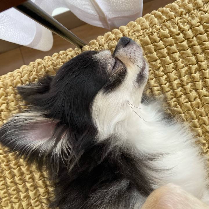 1d5c07cc 1a07 4c1f bf0e fd71c930fb75 1658669886597