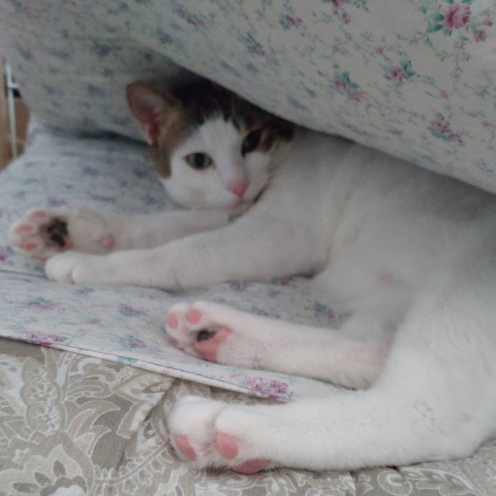 1d5c2161 9b29 4bc6 a26d f18c0835e46b 1710898477661