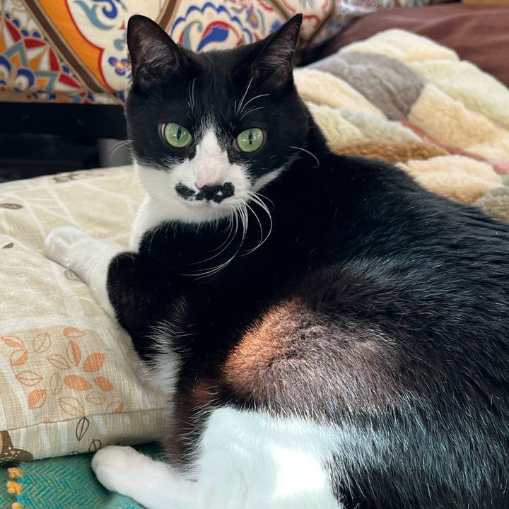 1d5c71cf 774b 426d a811 c69dc7899f6f 1772577726068