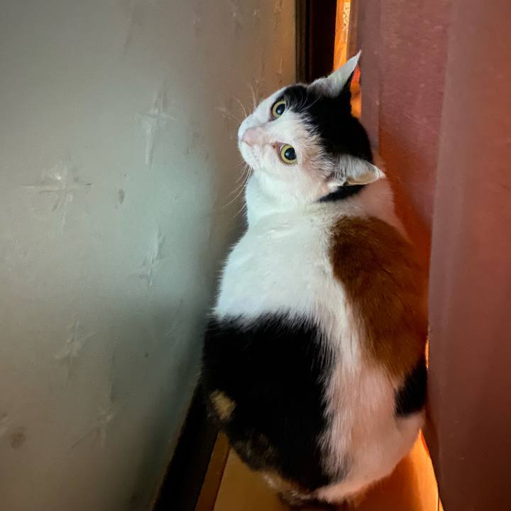 1d5caf85 d6e8 4534 a1ad 0962b1db6c23 1651504539592