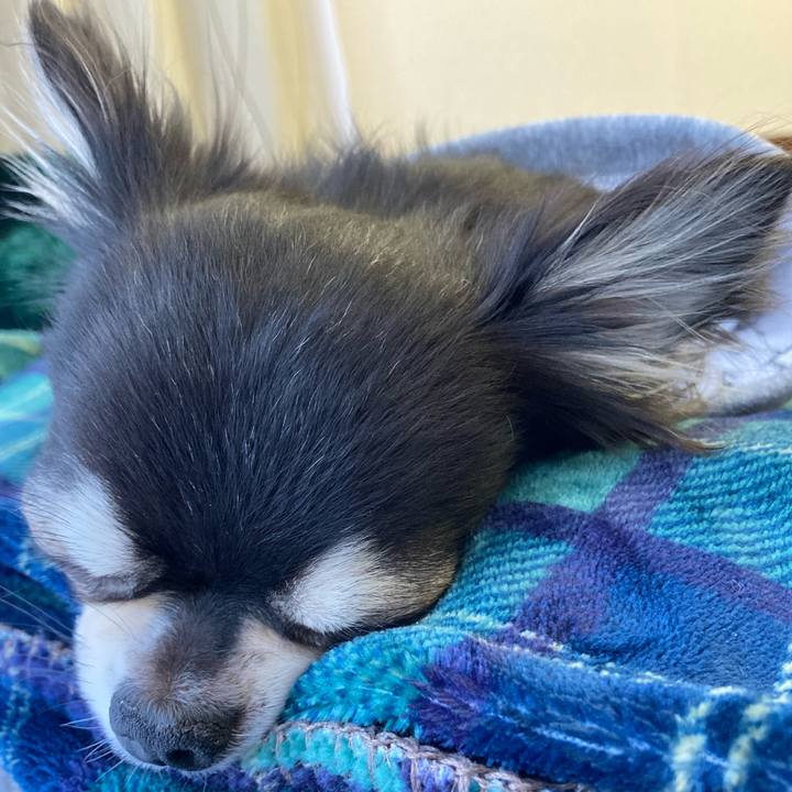 1d5ce19f e01f 47de 99f3 032baededd6f 1642823861046