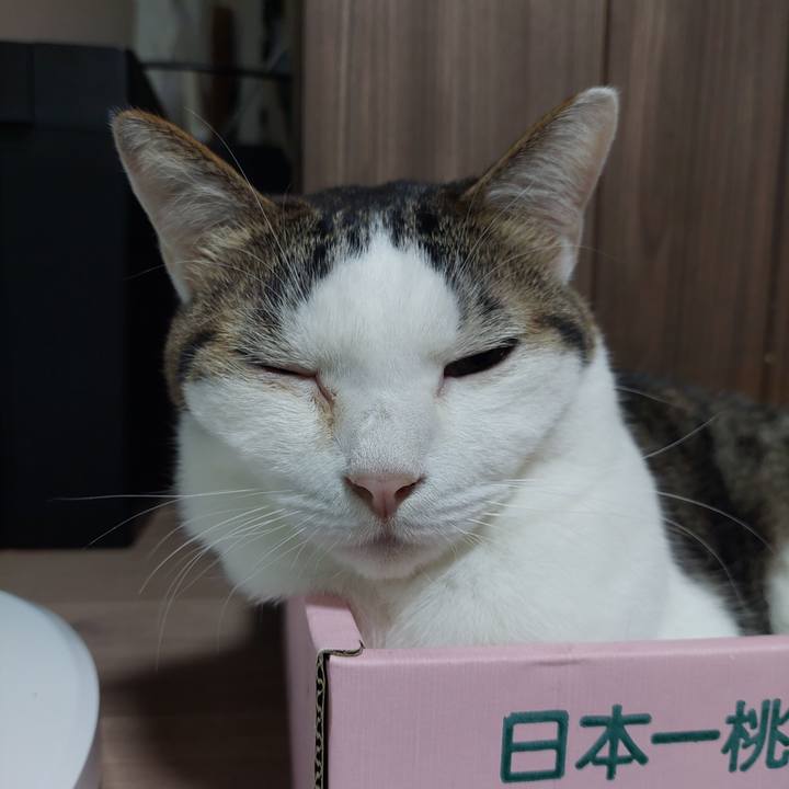 1d5cf0d5 ea88 49b7 83ff 6442c21cf124 1634678890985