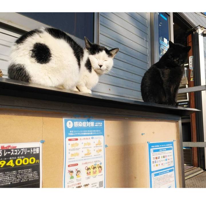 1d5d276b 705e 4339 ab76 6ec388f298e5 1611634694201