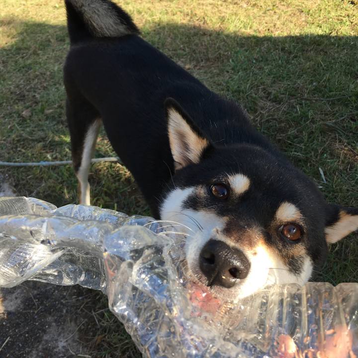 1d5d2f1b 96d4 4c3e a177 b9564aee7fc5 1572731502267