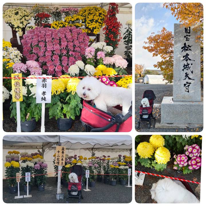 1d5d313c f95d 43df 93e3 8ddb9759a144 1762864352981