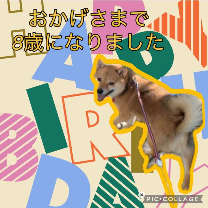 1d5d71a4 5404 4def 81d4 12acc7cf20fa 1768598703104