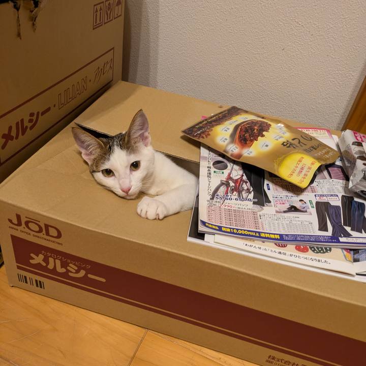 1d5d77a9 778f 4558 9d70 e9ddd3f52852 1772273971698