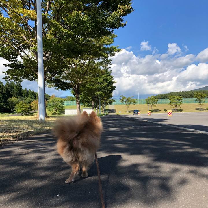 1d5da476 ff6d 45d5 9d33 b520c0be5dcd 1600754382539