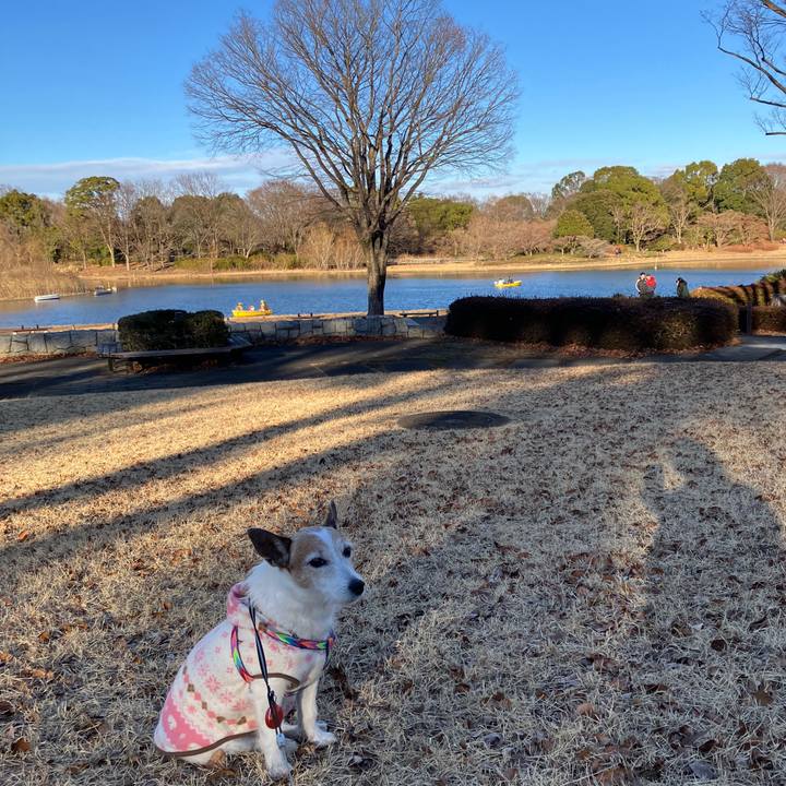 1d5dd410 7e02 4864 8330 4db7557b18dd 1738020494774