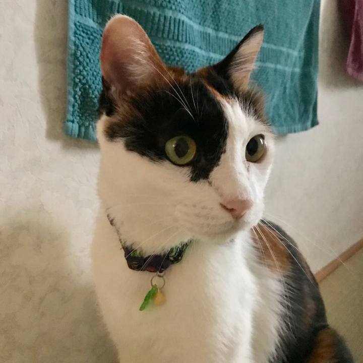 1d5ddc7a 492f 40e9 8457 63d9646bc9e2 1537019829341