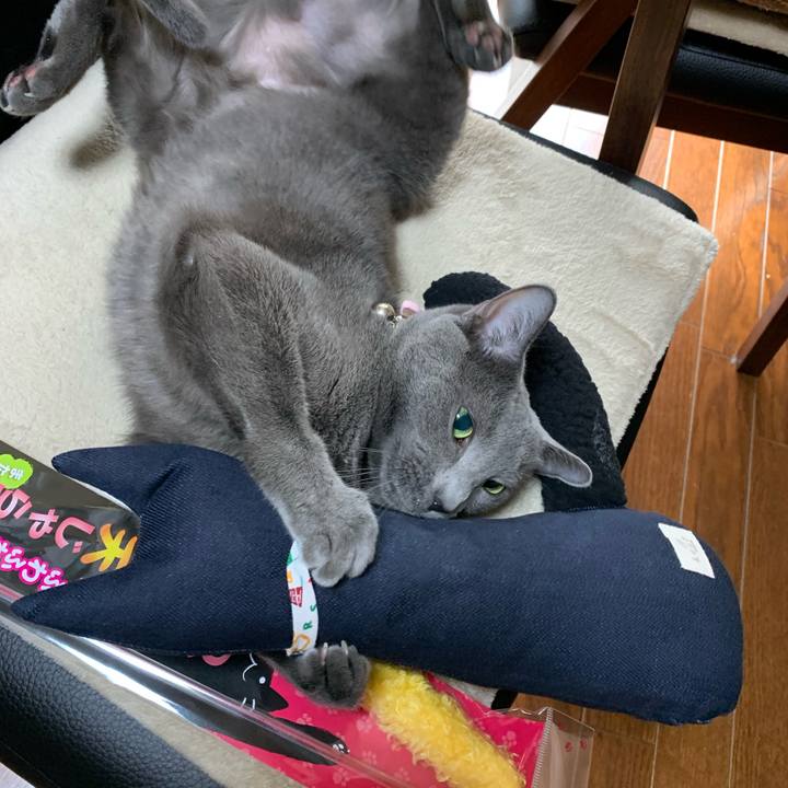 1d5e1187 586c 45eb a94c 8dc596a8d3ed 1581902018311