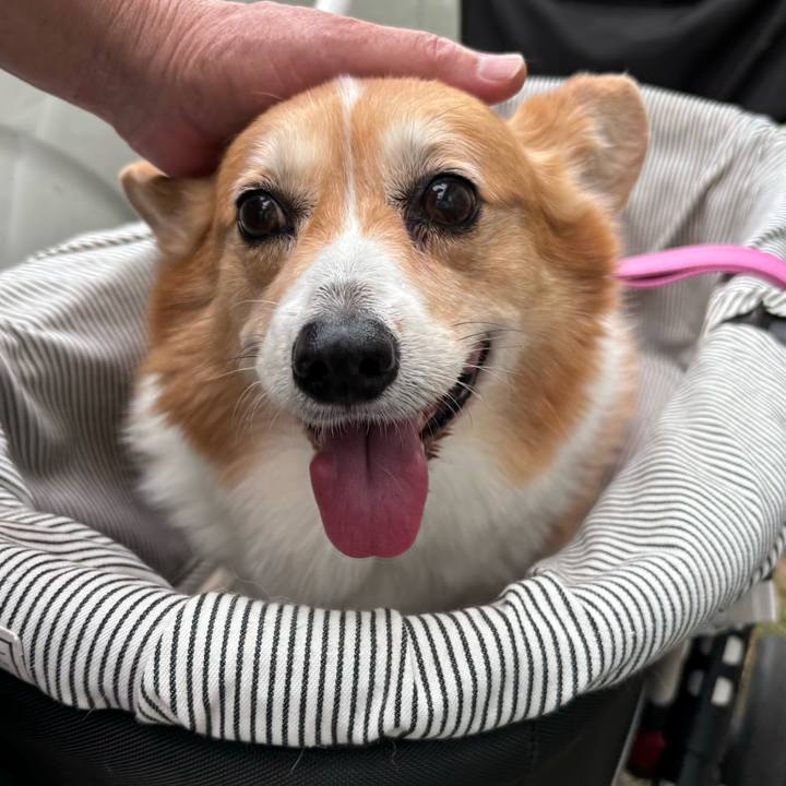 1d5e1da1 1c62 4d62 b5e4 d8d74713f23d 1746759704371