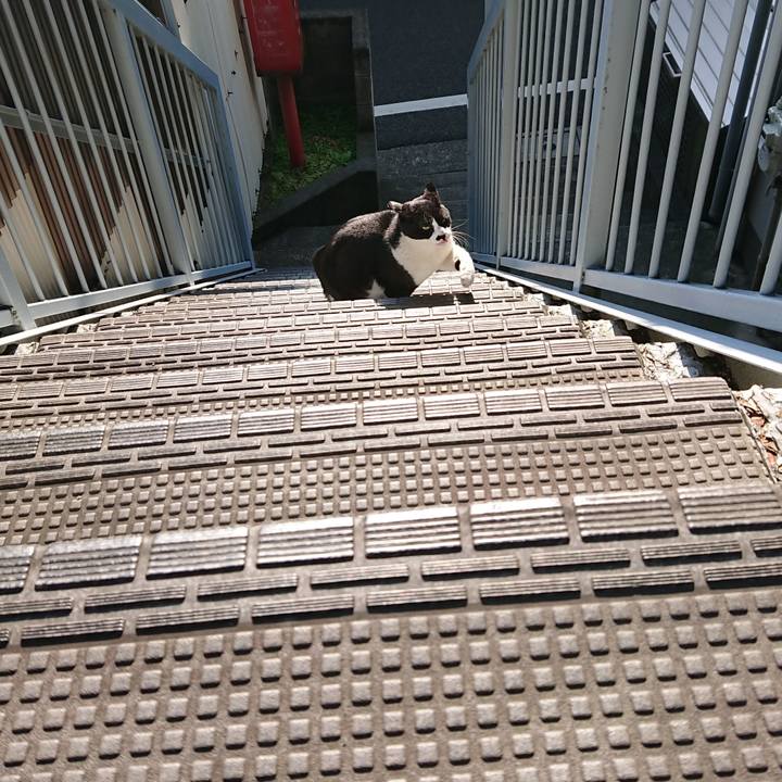 1d5e718e 6948 4bf3 92c3 7b5eb1c7a686 1594219482406