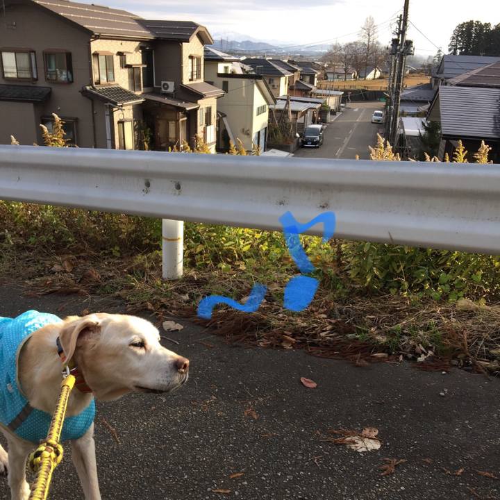 1d5eb4ae db31 499f bafa b7f64f7ebf62 1544943897876