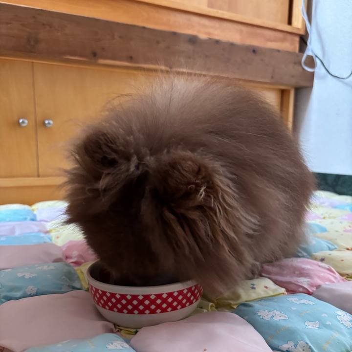 1d5edd19 e06d 4141 a040 df87ce2cf1f8 1744947604645