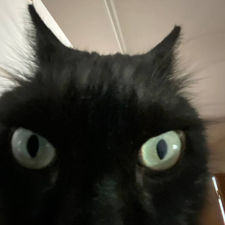 1d5ef0d2 becf 43a1 95db 9cacd528e5e2 1618627165078