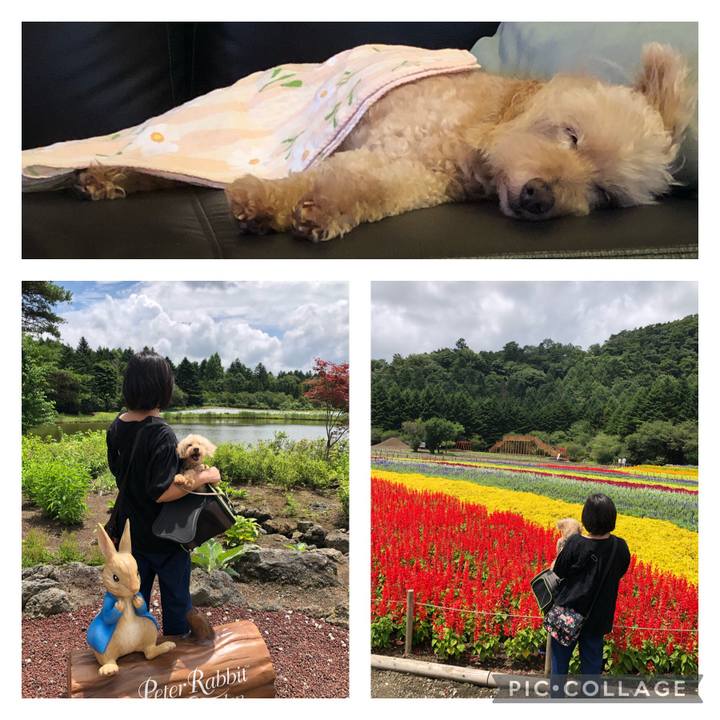 1d5ef4ab a10f 42ce 8b35 1bd4cc47dc98 1660112000795