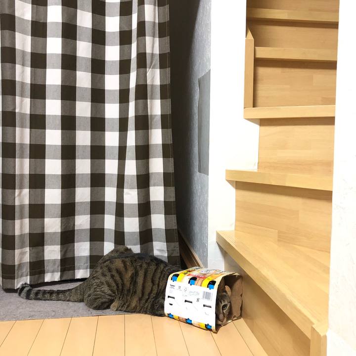 1d5f0554 a501 4a46 99dd 165639fb7915 1633121346557