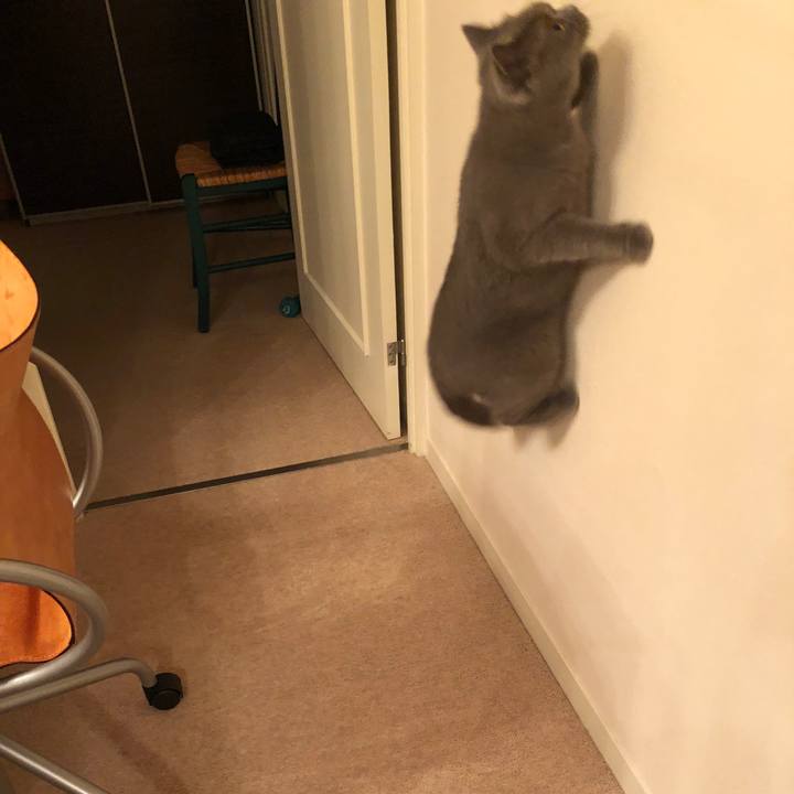 1d5f0f48 dc7d 4a56 b603 5cb361deaf5f 1535025252482