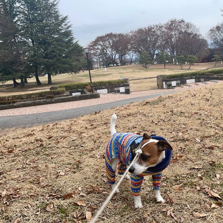 1d5f1ba8 e787 4e22 a782 831776144231 1736151856967