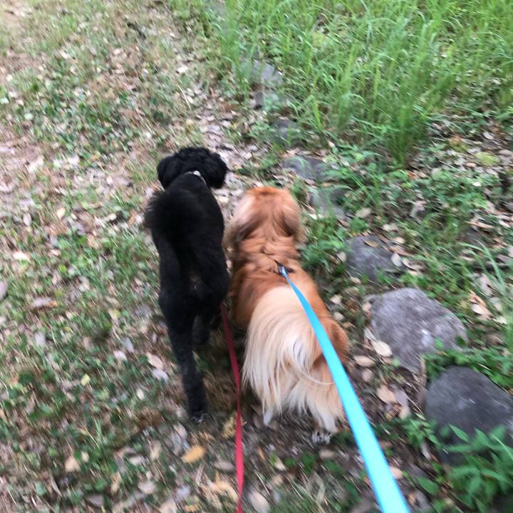 1d5f416c 0286 44dd 8ae3 5b727be08b7d 1533418496931