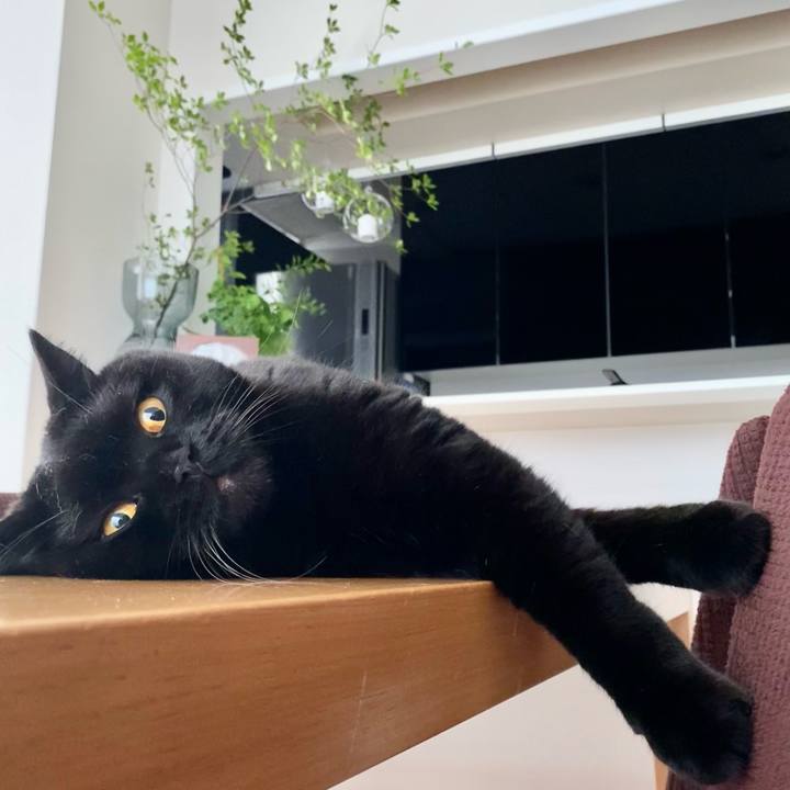 1d5f4ab6 af2a 4c38 bf40 d8e496f494eb 1690234485672