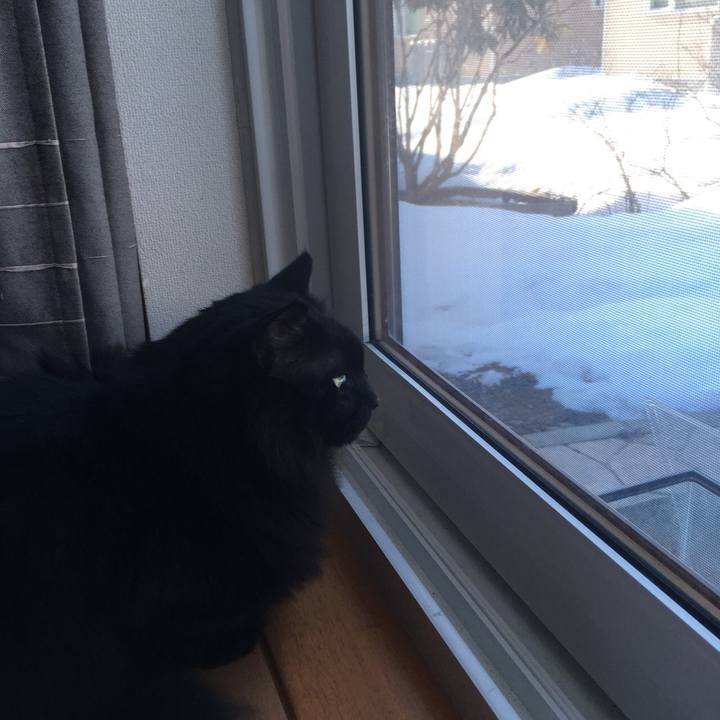 1d5fa8fc ecc6 4417 b79f 90a7260a37f0 1552883750398