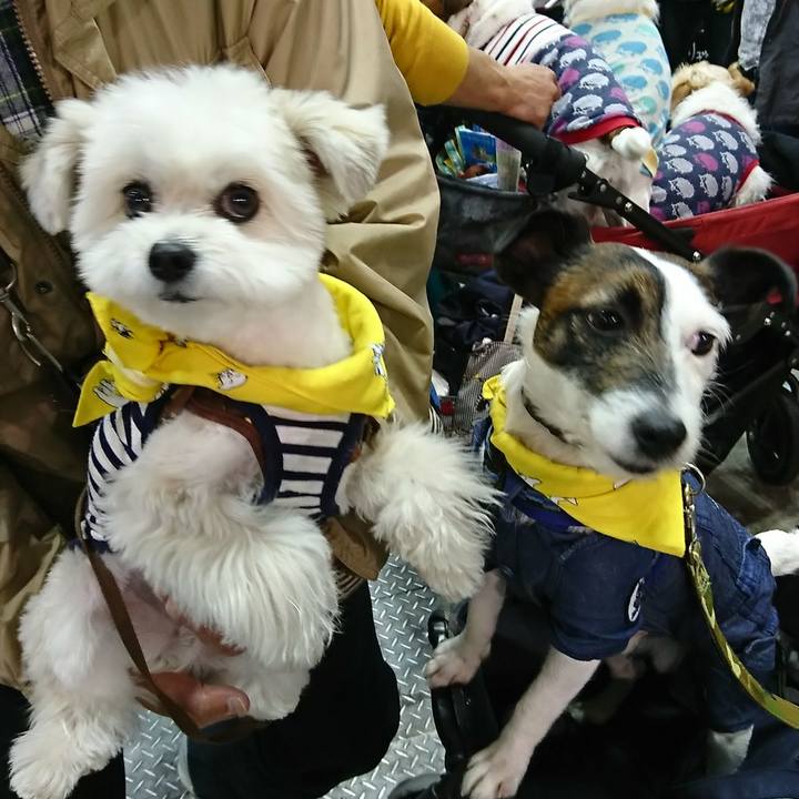 1d5faa0a a882 4452 a26f a9074c5b1a16 1522496251069