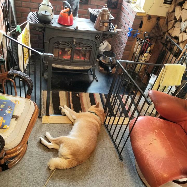 1d5fbf8c 4a6e 4027 930a e610839b37f7 1705020129165