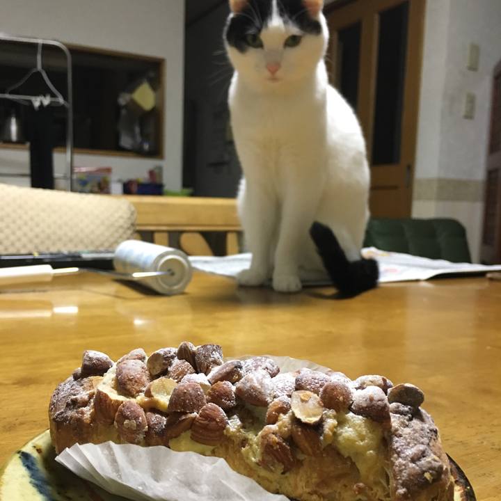 1d5fd4f2 e18e 43fa a599 91e0682a5580 1518710876776