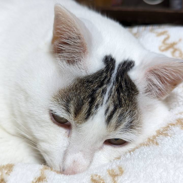 1d601617 3a22 4ddc 8807 9e2407ed6704 1682933070673