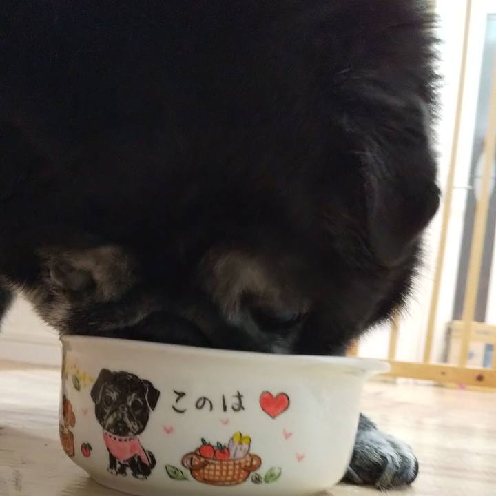 1d60195d 04c7 44da abe7 664eb28b7954 1565182123778