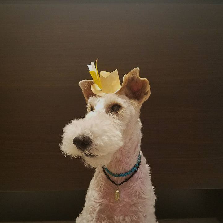 1d602bc7 330e 4810 9f28 8a663cb00d4f 1560066103384