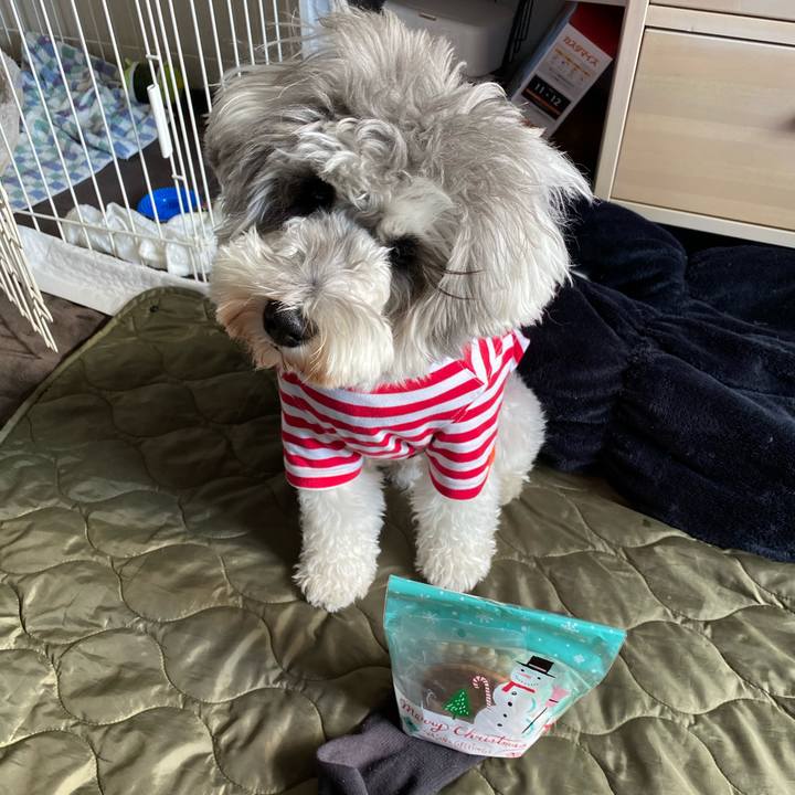 1d60311b 5369 471d b8ac 820f935cc4a7 1608864980874