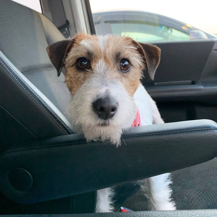 1d606b8a 54ad 41ee b1fd c039d28cc206 1588420871847