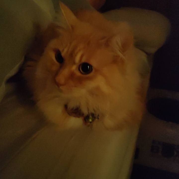 1d608403 9eab 4142 911f 1bed55388446 1704404931087