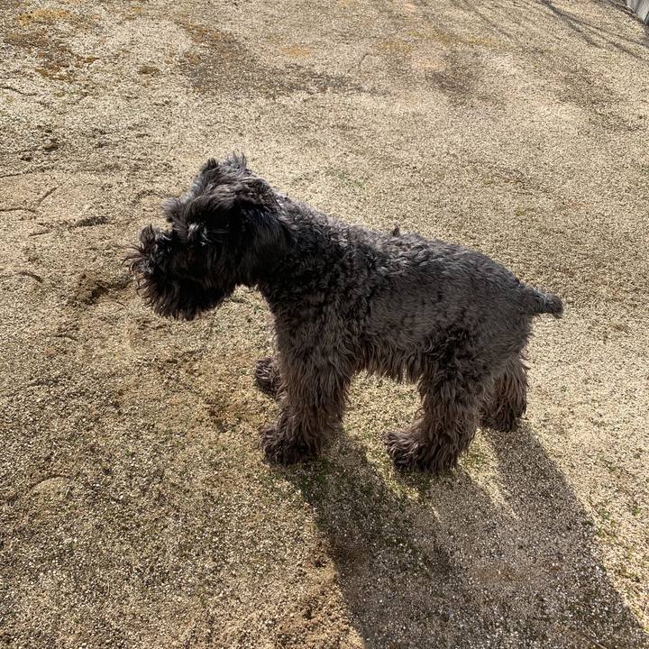 1d608452 8b4d 4942 9e28 0e072e9a98f2 1612054833425