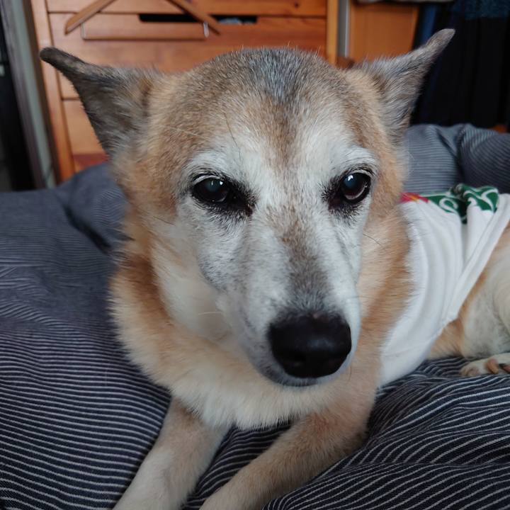 1d6085b3 0208 4db6 ab1c 0d83887905b6 1713345152896