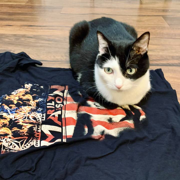 1d60a80e 3548 4e89 94f9 464944610043 1690636112298