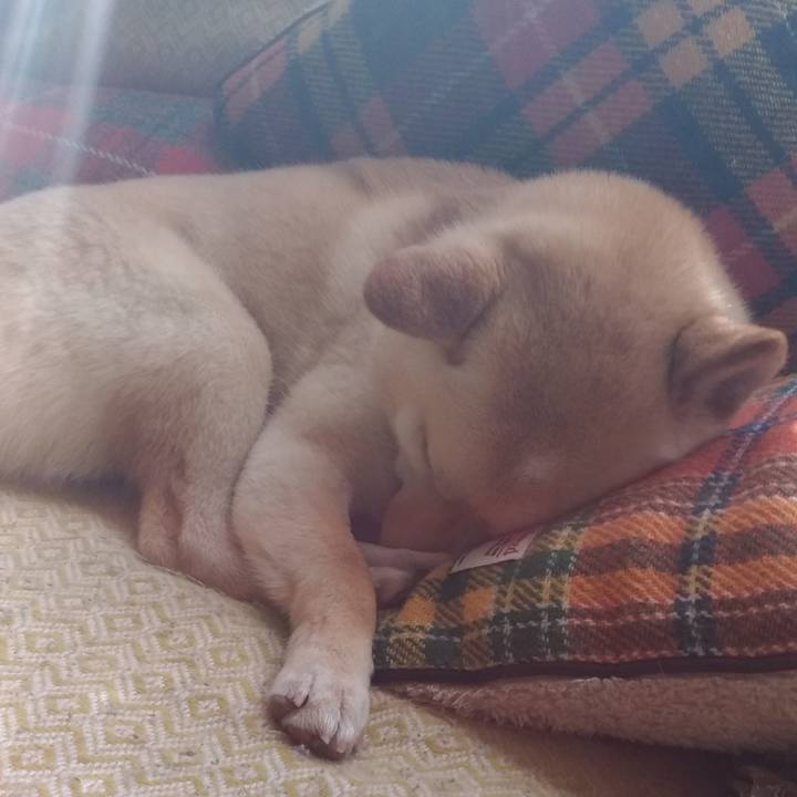 1d60e946 e3cf 40ee baf0 cc43a5b0361b 1555284429284