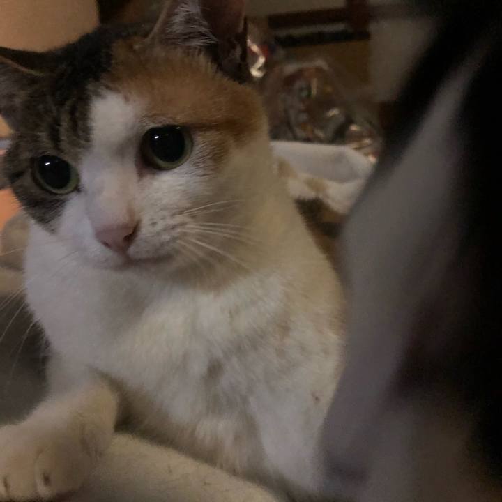 1d610316 d194 424d 88ca db243934f2f6 1590407090473