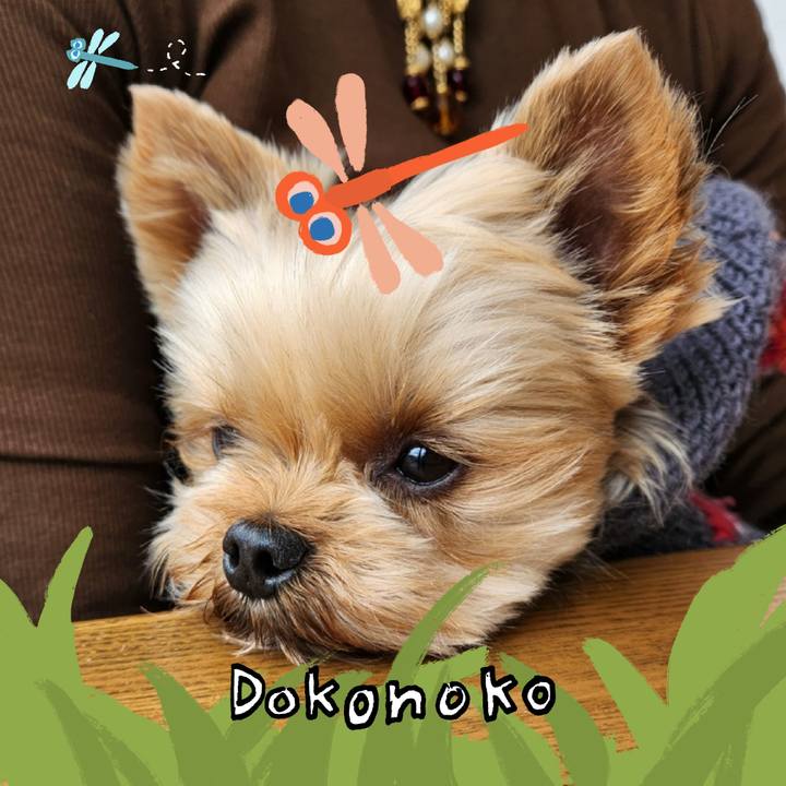 1d611dbb 9731 472f bdbe c5b8e159810c 1727316719164