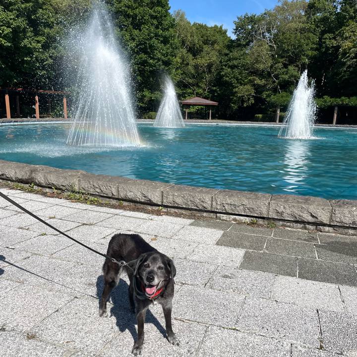 1d6132ea f7df 4da2 808f 4b75d939f2b3 1757647361276