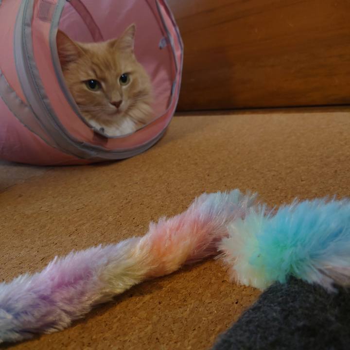 1d6165c6 328e 4a13 a98c d2442b8b88fb 1697805935659