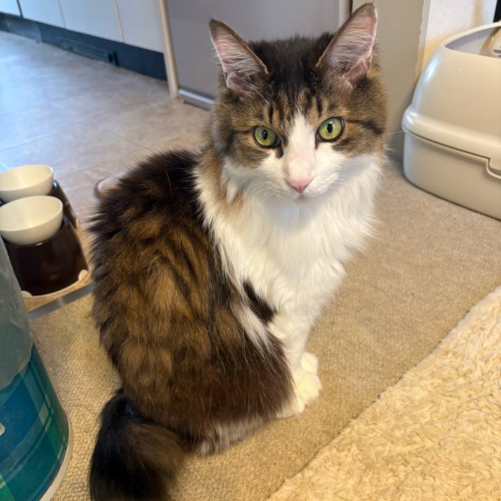 1d617b35 0888 452a 8d27 c7cd78528aae 1769730609049